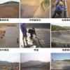 福州动物无害化处理设备 福州黑膜沼气池
