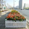PVC花坛围墙|PVC花坛围栏|PVC花坛栅栏|安诚