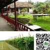 崇左农家乐——可靠的旅游度假，南国春山庄提供
