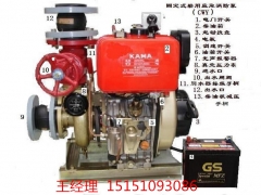 船用应急消防泵，船用柴油机消防泵，CCS消防泵图2