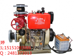 船用应急消防泵，船用柴油机消防泵，CCS消防泵图3