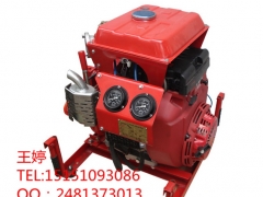 手抬机动消防泵,手台式消防泵,船用消防泵,舱底泵图2