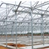 专业的蔬菜大棚搭建，福建蔬菜大棚搭建造价