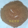 苜蓿专卖店：抢手的紫花苜蓿市场价格