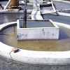 福建新品污水处理设备哪里有供应：广东污水处理设备