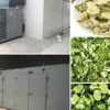 广西实惠的水果烘干房，广西果品烘干设备