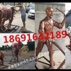 陕西雕塑|西安专业的西安雕塑公司