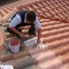 玻璃瓦屋面防水涂料 红色屋面防水涂料 屋面防水补漏 屋面防水