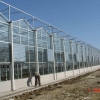 玻璃温室建造@玻璃温室建造厂家￥玻璃花卉温室