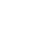 沈阳网站制作哪家好,首选辛有才