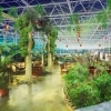 生态餐厅建设(文洛式玻璃温室)花卉温室大棚建造找轩农温室