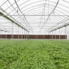 【种菜用温室大棚《蔬菜温室大棚建造》PC阳光板温室建设】轩农