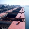 澳大利亚至越南线散货船船东联系方式