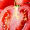 有机西红柿种植|热销有机西红柿推荐