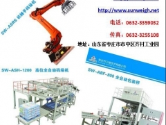 1.无机盐全自动包装秤高位码垛机与自动上袋机图1