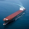 哪里可以找到技术一流的澳洲海运|广州澳洲海运价格