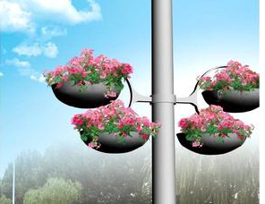 青州弘景园林绿化有限公司  垂吊牵牛  花柱  花墙专用花