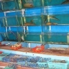 福州海鲜池 销量领先的海鲜池长期供应