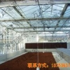 良好口碑的pc板温室大棚建设就在万红温室园艺工程公司，专业设计玻璃温室大棚