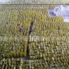 广西南宁东和新赢环保畅销聚合硫酸铁 浙江哪家聚合硫酸铁口碑好