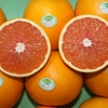 销量好的富硒脐橙价位——江西富硒脐橙