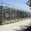 【哦买嘎！】山东连栋温室建造【日光温室建设】日光温室大棚价格