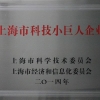 科技小巨人培育企业代理公司、上海市科技小巨人及培育企业代理、上海浩卓咨询