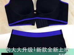 向大大内衣的特点和优势图1