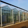 新型玻璃温室#专业玻璃温室建造公司￥薄膜温室