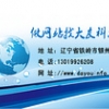 辽宁大友科技专业网站建设公司推荐：一流的铁岭专业网站公司