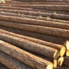 浚县木材加工代理——鹤壁地区专业的浚县木材加工