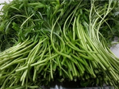 芦蒿价格|新鲜芦蒿批发|华阳禽业图1