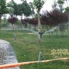 沧州水带|耐用的移动喷灌供应信息