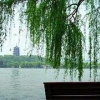 称心的上海周边游，上海国旅提供：上海周边一日游电话