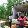绿色快车供应优质的蔬菜配送  _武汉食堂蔬菜供应公司