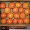 柳州销量好的橙子批发：橙子杨桃香梨樱桃代理