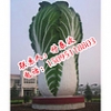 哪里有供应好的蔬菜雕塑——求购水果蔬菜雕塑