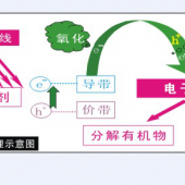 快速除甲醛 去甲醛空气净化宝