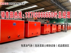 专业生产加气砖设备，加气砖设备，性能稳定图1