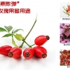 上海市代理项目全民创业加盟玫瑰产业销售渠道铺货摇钱树玫瑰精华蜂蜜膏玫瑰果纯天然营养保健品