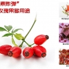 上海市代理项目全民创业加盟玫瑰产业销售渠道铺货摇钱树玫瑰精华蜂蜜膏玫瑰果纯天然营养保健品