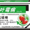 防治叶霉病价格 信誉好的叶霉病1+1供应商就在郑州