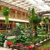 生态餐厅温室造价_山东超值的生态餐厅温室