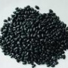 专业的豆豉专用黑豆——品质好的豆豉专用黑豆上哪买