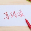 厦门凤升磁电具有口碑的软白板_同安软白板哪家好