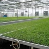 农用塑料大棚+山东农用塑料大棚+山东PC阳光板温室