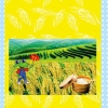 山东哪里有供销价位合理的小麦化肥袋|宿州小麦化肥袋批发