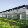 生态观光温室大棚建设#薄膜连栋温室多少钱#潍坊生态餐厅建设