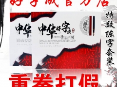 中华好字成李海燕21天练字法湛江图1