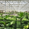 蔬菜观光园建设|提供合格的连栋智能温室建造
